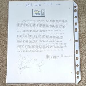 Bluetit Bird Study Stamp - Educational Nature Design